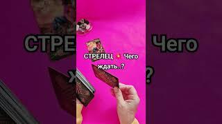 СТРЕЛЕЦ - Чего ждать..? До конца года 2024? #будущее #tarotreading #short  #таролог