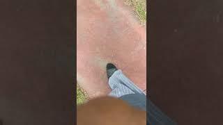 Asurion Phone Claim 2019