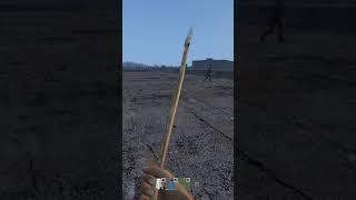 The Funniest DayZ Death I've Ever Seen on Namalsk