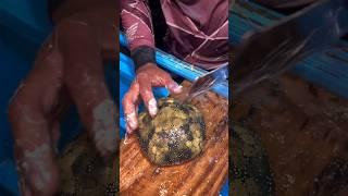 What's Inside This ALIEN Starfish?!