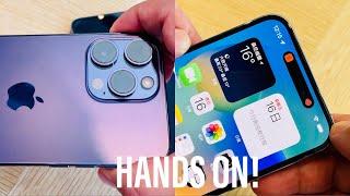 iPhone 14 Pro Max DEEP PURPLE  HANDS ON! 