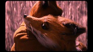 【﻿ＭＲ．ＦＯＸ】