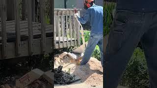 Stump Grinding