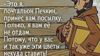 Снова посылка с орхидеями! Вот он, фаленопсис моей мечты. Милтониопсис, дендробиум, толумния, УРА!!!