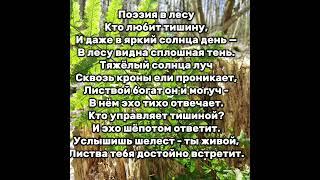 поэзия #стихи #лирика #чувства #вдохновение