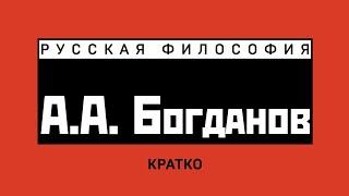 А.А. Богданов. Кратко