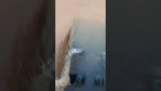 Pata nahi kiss ruap may Narayan mill jayaaga #mpsarkar #nature #msb #viralshorts #zee5 #indianarmy
