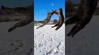Can play well, #funny 