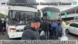 Москва Ташкент автобус Москва Ташкент автобус Ташкент Москва автобус