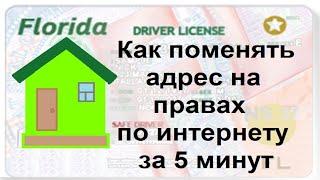 Права в США. Как изменить адрес на водительском удостоверении онлайн. Флорида DMV.