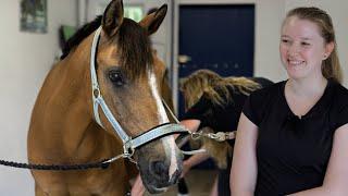 Unendliche Pferdeliebe - 30 jähre Ponystute beim Pferdecheck