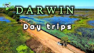 Darwin Day Trips,in to oz episode 66