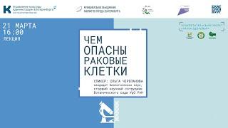 Ольга Черепанова приглашает на лекцию «Чем опасны раковые клетки»