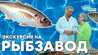 Как устроено рыбное производство? Экскурсия на завод «ЭРА МОРЯ» с Юлией Бутаковой