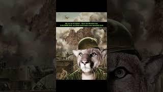 gnarly ~ draft  #surfsupcali #mountainlion #wwiii #iran