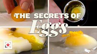 Flavour Hacking: How to Cook Eggs | Fine Dining Lovers