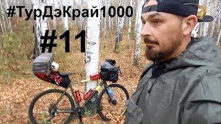 Курган -Тюмень. ФИНИШНАЯ ПРЯМАЯ. 1000+ км #DONE !!! Велопутешествие На PRIDE ROCX 1000 км. День 11.