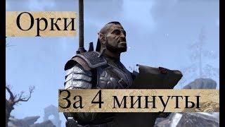 Орки за 4 минуты [TES Lore]