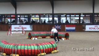 WAC 2010 team relay Russia 2 Agility