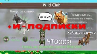 Я КУПИЛА WildClub?! | РАЗБИРАЕМ + И -, СТОИТ ЛИ КЛАБ СВОИХ ДЕНЕГ?!