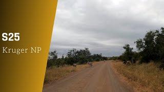 S25 scenic self-drive - Kruger national park