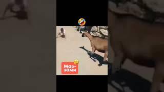 #SOFUNNY#viral#video #IJMALIK #IFTIKHAR #MALIK  #YouTubeshot #shots #shotsvideo #1millionviews#Ahmad