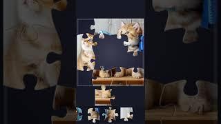 Jigsaw - Two Kittens Staring to the Ceiling