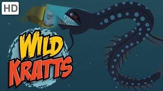 Wild Kratts - Dive into the Atlantic Ocean!