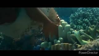 moana underwater scenes