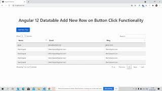 Angular 12 Data Table Add New Row on Button Click Working Demo