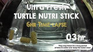 What happens to Ultra Fresh Turtle Nutri Stick after 6hrs in water?