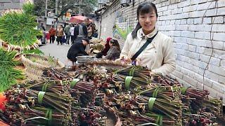 A jar of pocket pickled mustard tuber sold short in 3 hours! One kilogram of 2 yuan is cheap and co