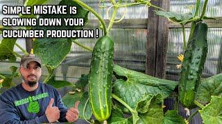 Cucumber Growing & Harvest Tips Wish I'd Know Before #gardening #greentgarden #plants