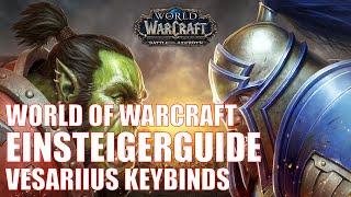 World of Warcraft Einsteigerguide - Vesariius Keybinds