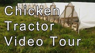 Chicken Tractor Video Tour