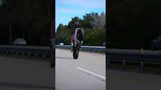 Дыньки виллят#bikeborn #мотоциклы #bikelife #motolove #bikers #грудь #вилли #стант #мотоледи #moto