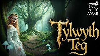 The Legend of The Tylwyth Teg: A Sleepy Celtic Tale