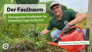 Der heimische Faulbaum - So förderst du Biodiversität im Garten und hast ein Paradies für Raupen!