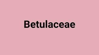 'Betulaceae' Meaning and Pronunciation