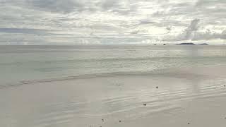 Walking along anse volbert between Berjaya and Acajou resorts.Praslin Seychelles