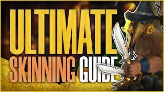 The ULTIMATE War Within Skinning Guide | World of Warcraft Gold Farming