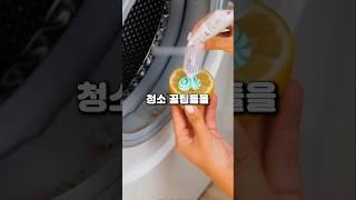 레몬에 치약을 짜면 생기는 일!