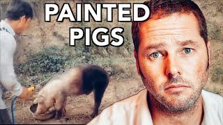 China is Now Painting Pigs Black - Why?