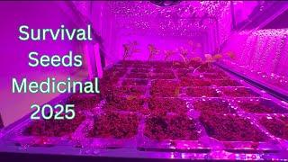 Survival Seeds 2025 Medicinal #survivalseeds2025