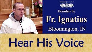 Hear the Voice of the Lord - Jan 12 - Homily - Fr Ignatius