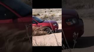 Any Subaru = Rally Car #subaru #subaruwrx #subsruwrxsti #sti #forester #viral #cargram #fyp #fypシ