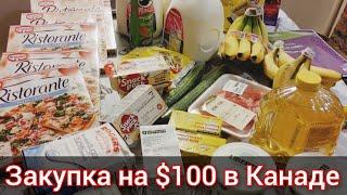 Закупка продуктов на $100. Что можно купить на $100 в Канаде. Канада иммиграция