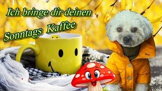 Hier kommt dein Sonntags Kaffee  herzliche Grüße  für einen schönen Herbsttag  