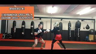 Orange Belt #1