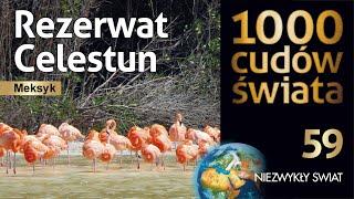 1000 wonders of the world - Celestun Biosphere Reserves